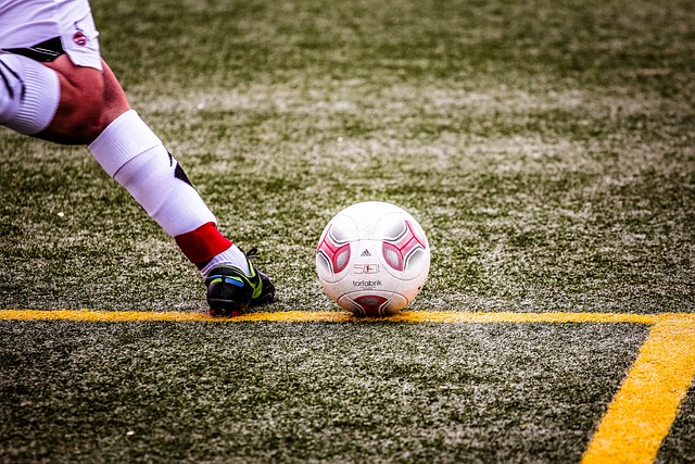 的未来前景 的未来前景