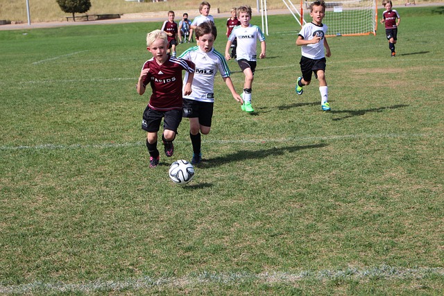 职业生涯的 职业生涯的